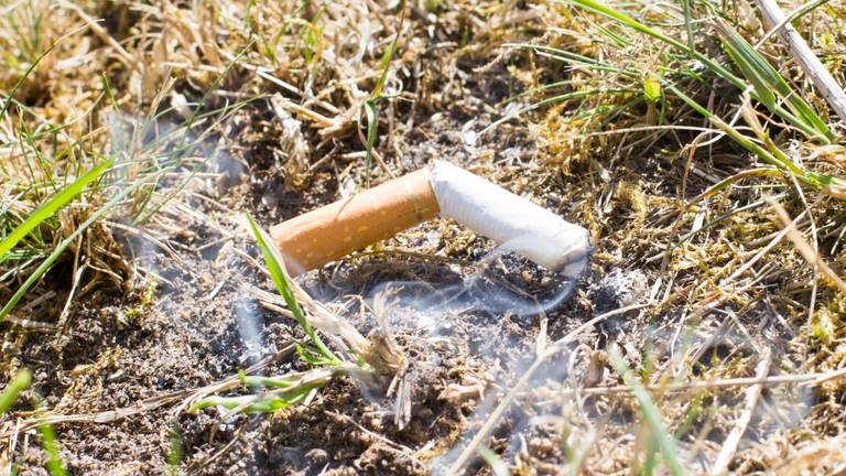 Peuken zijn nog wel eens de oorzaak van natuurbranden (foto: Ab Donker).