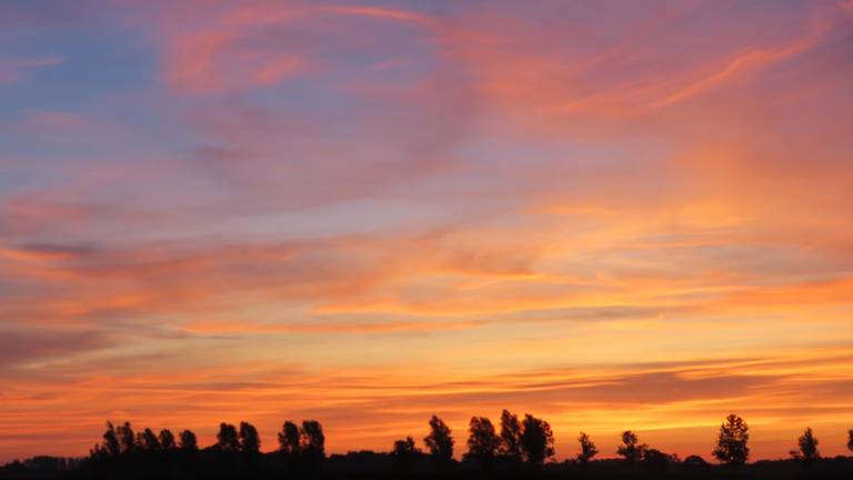 Omroep Brabant