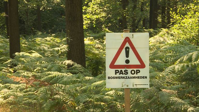 Bezoekers van het Liesbos in Breda worden gewaarschuwd voor de houtkap. (foto: Raoul Cartens)