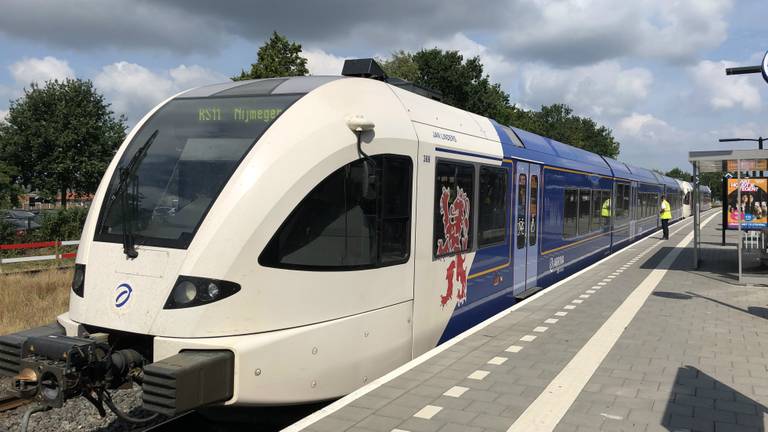 Het treinverkeer had bij Holthees last van 'spoorlopende' koeien (foto: Hans Janssen).