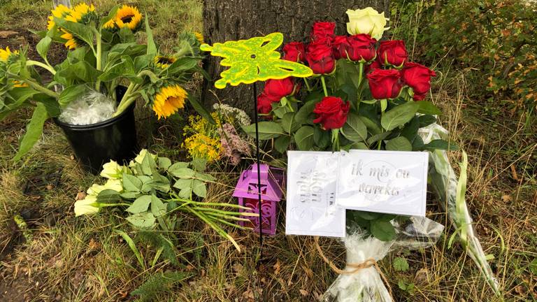 Bloemen op de plaats van het ongeluk (Foto: René van Hoof)