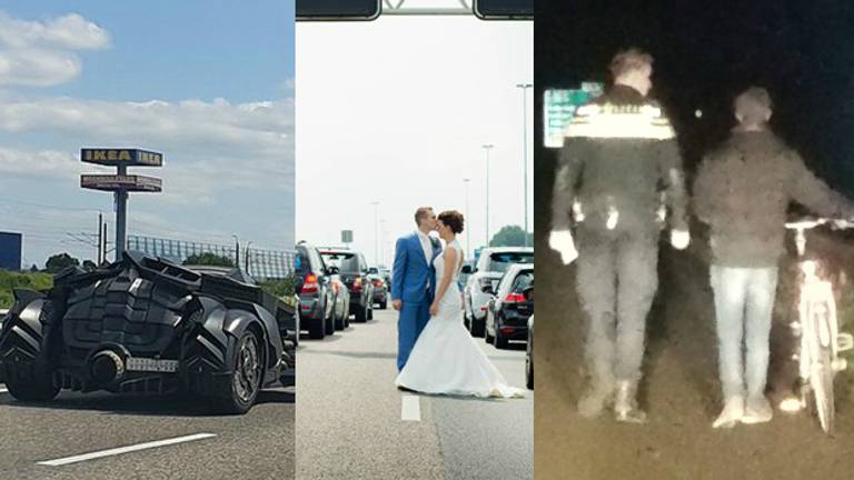 Gekke gevallen op de snelweg. (Foto's: Kees-Jan van Rijkswaterstaat, Gaby Ermstrang, Emile Theunissen)