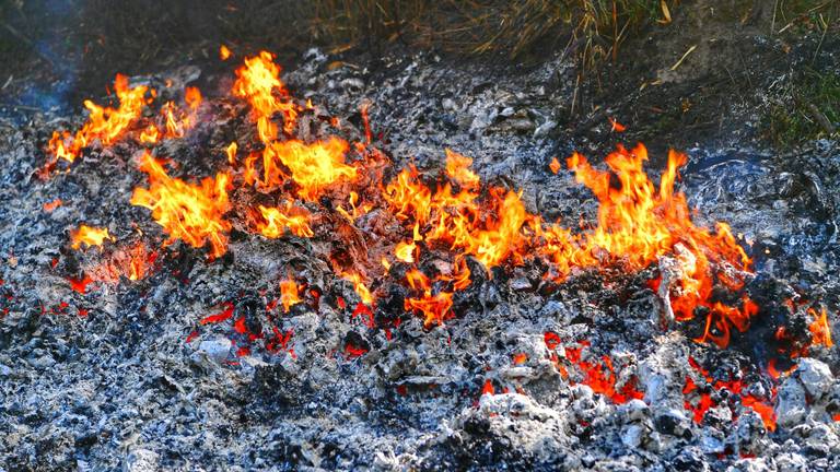 Van het gedumpte drugsafval bleef weinig over. (Foto: Rico Vogels/SQ Vision)