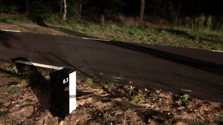 Geen verlichting op dit drukke fietspad, maar reflectorpaaltjes (Foto: Alice van der Plas)