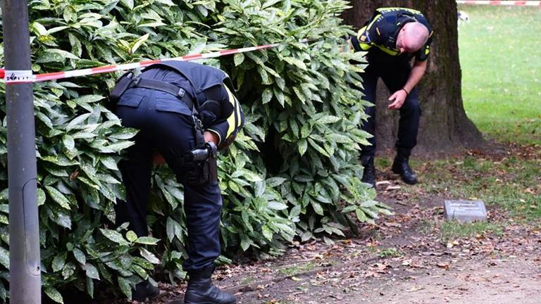 Bij een ruzie in het Wilhelminapark in Tilburg raakten twee personen gewond. (foto: archief)