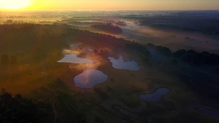 Vrijwilligers laten in natuurfilm de schoonheid van Oisterwijkse vennen zien. (Beeld: Oisterwijk in beeld)