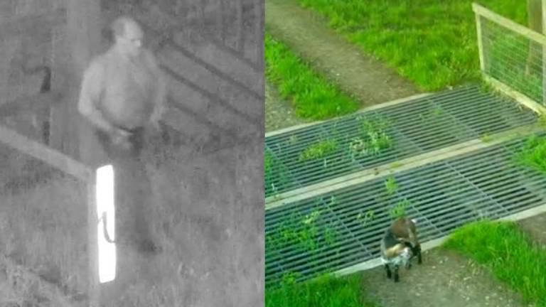 De man en het gedumpte geitje. (Foto's: Politie Boxtel)