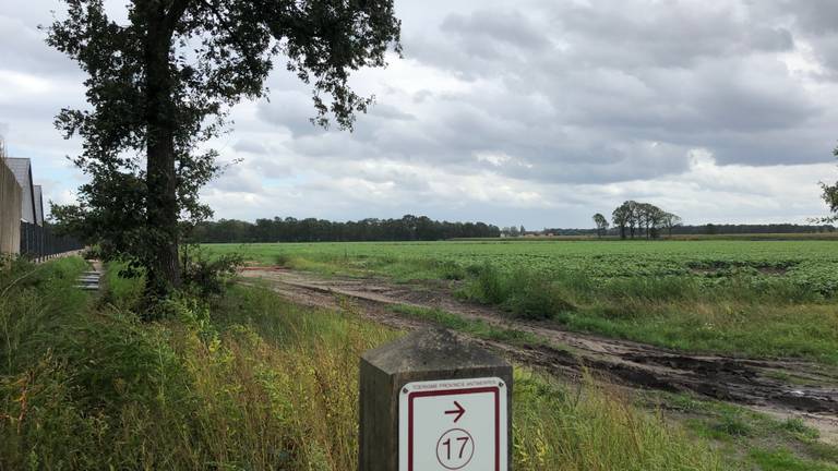 Hier, net over de Belgisch-Nederlandse grens wil Tanja van der Walle haar kalverhouderij beginnen. Links zijn nog net de gebouwen te zien van het door haar ouders opgerichte bedrijf.