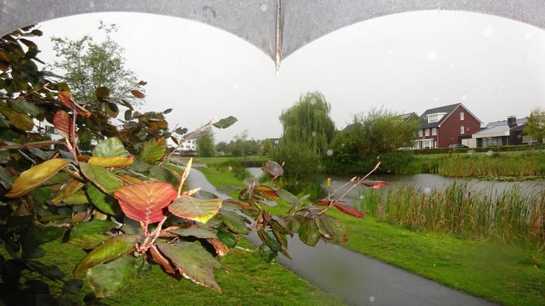 Het is een regenachtige maand. (Foto: Joop van der Kaa)