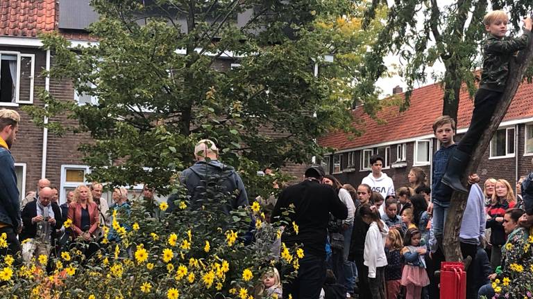 De nieuwe bevrijdingsboom in Eindhoven. (Foto: Tonnie Vossen)