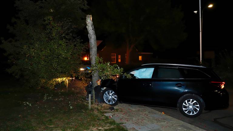 De bestuurder botste op een boom toen hij een spin wilde verwijderen. (Foto: SK Media)