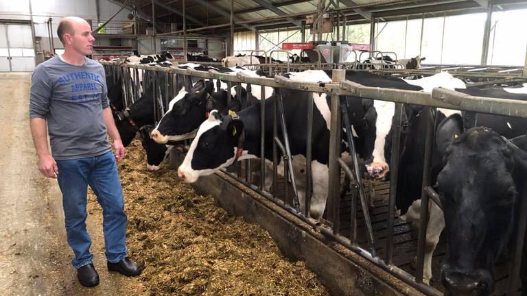 Boer Ard van Calis is niet blij met de de strenge regels voor stikstof in Brabant. (Foto: Alice van der Plas)