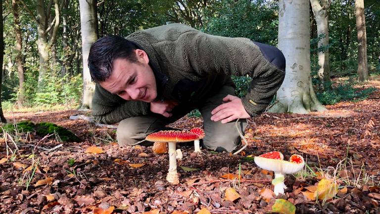 Laat de paddestoelen met rust zegt boswachter Erik de Jonge (Foto: Erik Peeters)