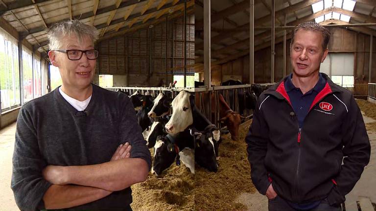 Bart Stokkermans en Frans Kennes willen gewoon blijven boeren in Oisterwijk. (Foto: Jan Waalen)