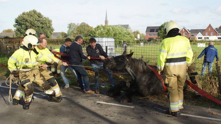 Omroep Brabant