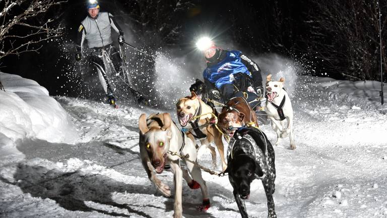 Taina racet met een hulpskiër en haar honden in de sneeuw.