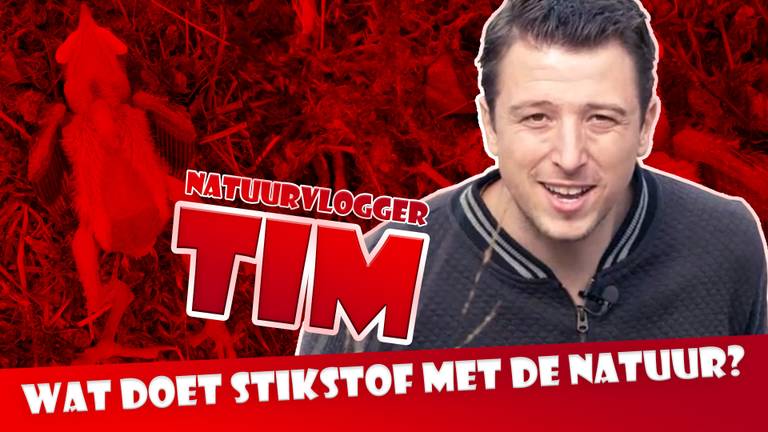 Natuurvlogger Tim legt uit wat te veel stikstof met de natuur doet.