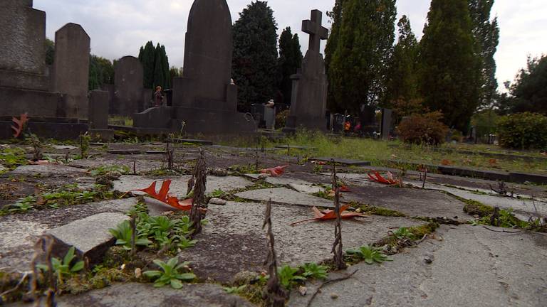 De begraafplaats aan de Gershwinstraat in Tilburg wordt slecht onderhouden.