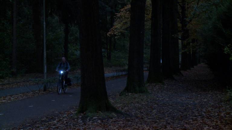 Veel fietsers voelen zich onveilig op de Reeshofdijk