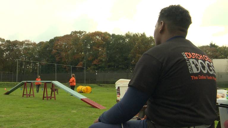 Een training van Dutch Cell Dogs in Den Hey-Acker in Breda. (foto: Raoul Cartens)