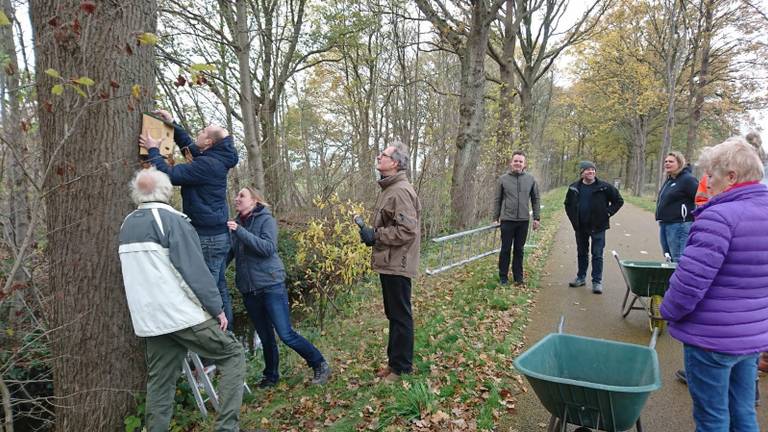 Bewoners hangen de mezenkastjes op (foto: gemeente Roosendaal).