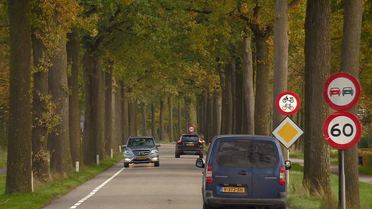 De N395 (foto: Omroep Brabant).