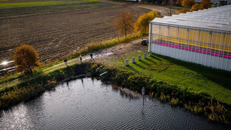 De plek van het ongeluk (foto: Rob Engelaar).