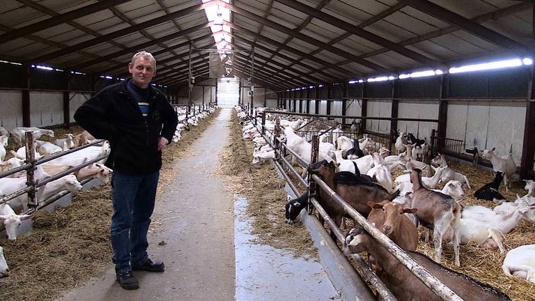 Ad Bink voorspelt dat Brabant er nog meer geiten bij krijgt.