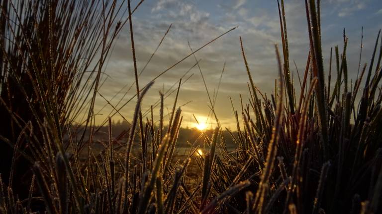 Omroep Brabant