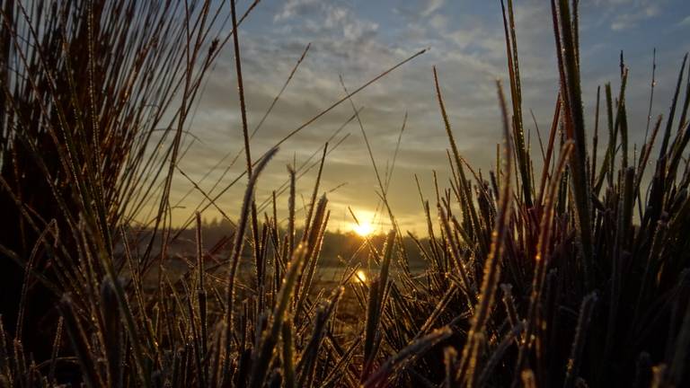 Omroep Brabant