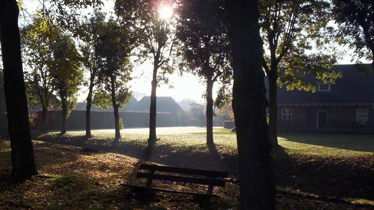 Waterig zonnetje en ijskristallen aan de oever in Ravenstein. Foto: Bennie Brukx