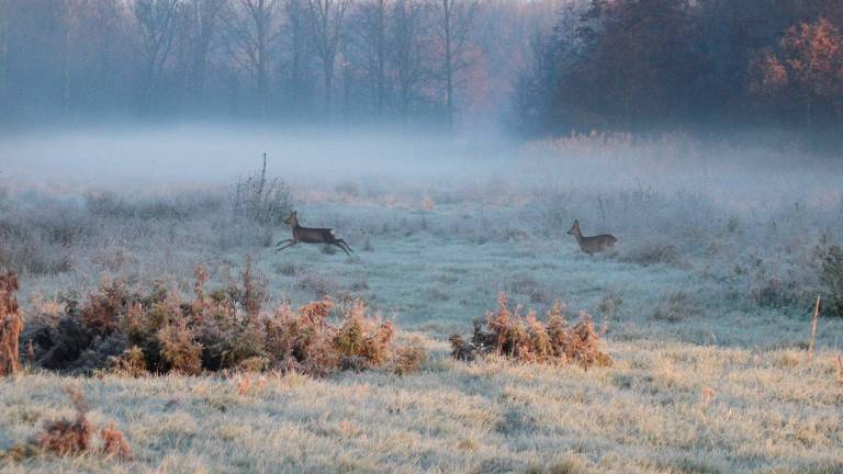 Omroep Brabant