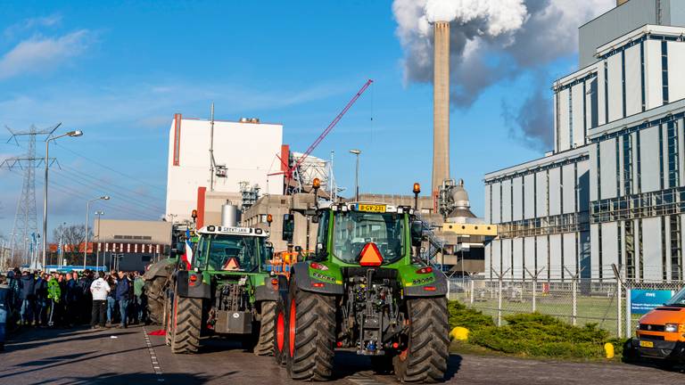 Grote hoeveelheid boeren bij de Amercentrale in Geertruidenberg. (foto: Marcel van Dorst)