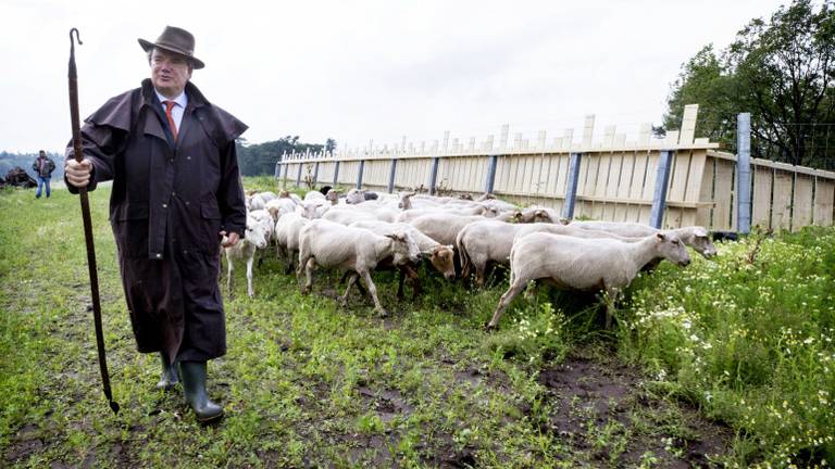 De faunapassage in Goirle. (Foto: Faunapassage Goirle)