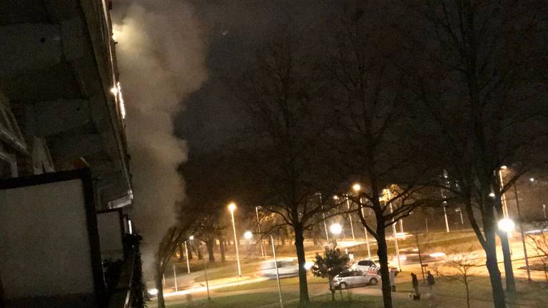 Foto: VanHeeswijkO/Twitter