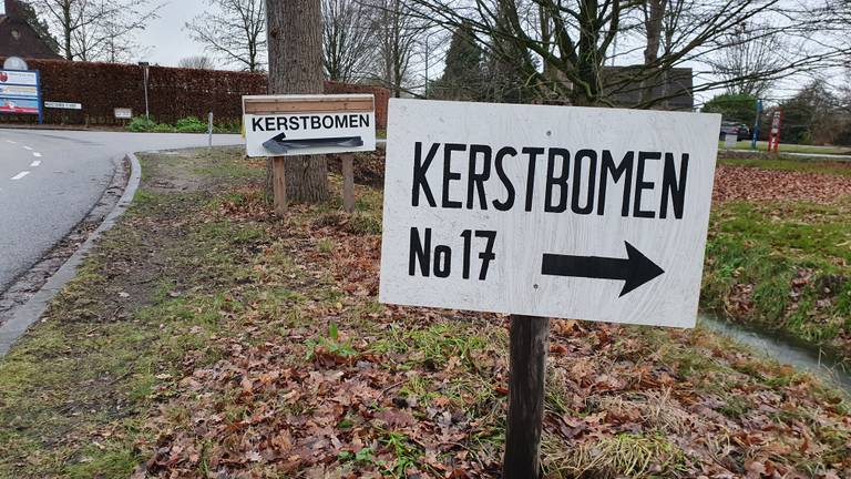 Het wemelt van de borden voor de kerstbomenverkoop in Den Dungen