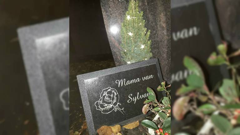 Er staat weer een nieuw kerstboompje met lichtjes op het graf van Sylvana's moeder (Foto: Sylvana Schijven).