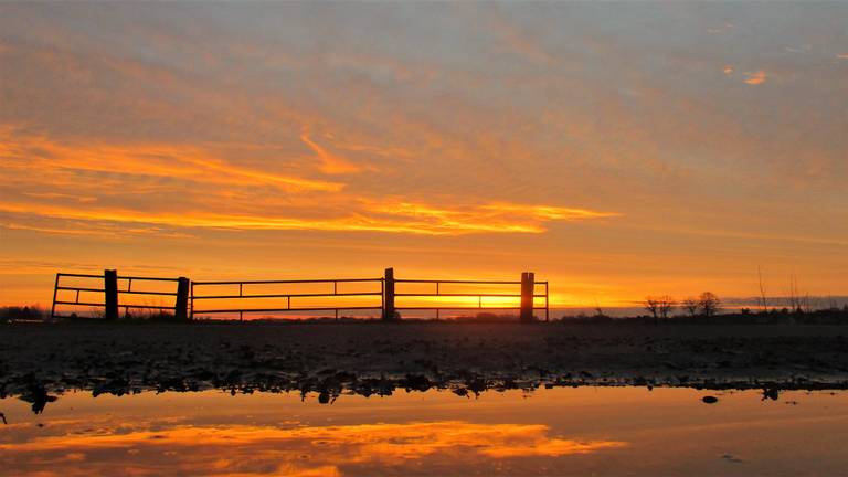 Het ochtendrood weerspiegelt in een waterplas in Hulten. (Foto: Joop van der Kaa)