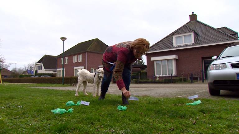 Omroep Brabant