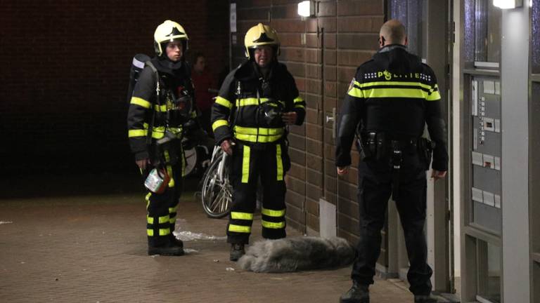 Hond overleden bij brand in flat Waalwijk (foto: Jurgen Versteeg/SQ Vision Mediaprodukties).