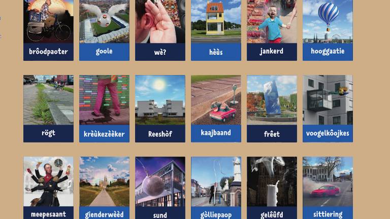 Het nieuwe leesplankje van Tilburg (Foto: Screenshot www.tilburgsetaol.nl)