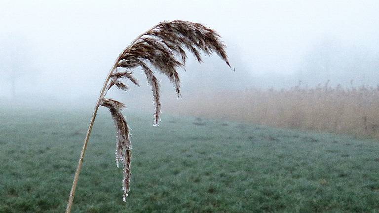 Omroep Brabant