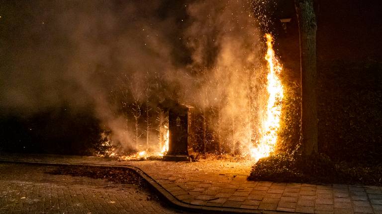 Op maandagavond zijn er coniferen aan de Resedastraat in Oosterhout in brand gestoken (Foto: Marcel van Dorst SQ Vision Mediaprodukties)