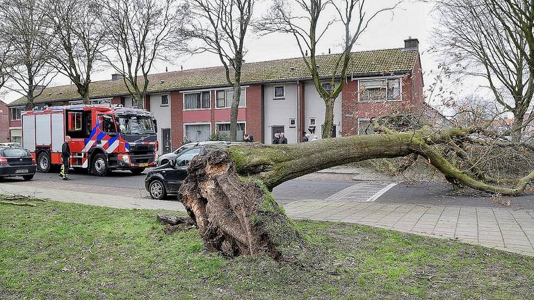 Stormschade