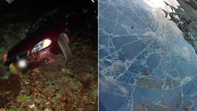 De automobilist kwam in het water terecht. (Foto: Facebook/Politie Cranendonck en Heeze-Leende)