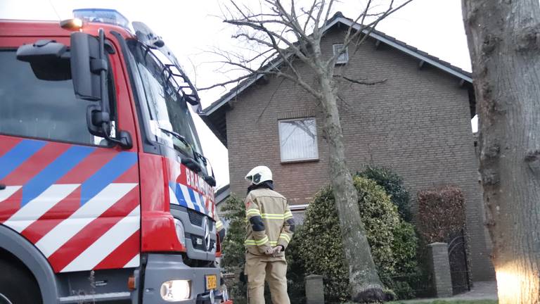 In Zeeland waaide een boom zondag tegen een woning aan. Foto: AS Media