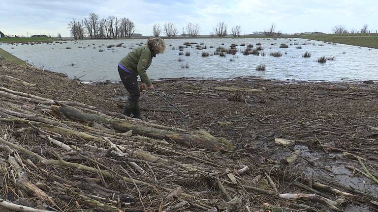 Omroep Brabant