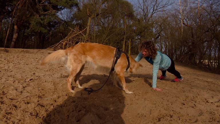 Woofcamp: Fit worden en tegelijkertijd je hond trainen.