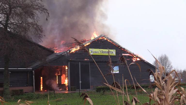 Omroep Brabant