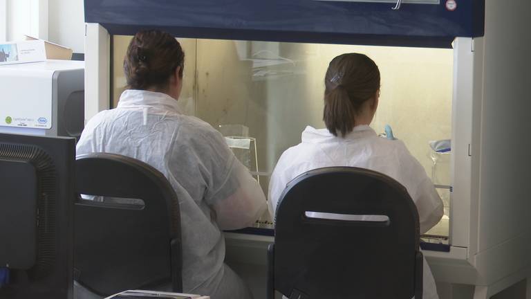 Medewerkers werken in het lab het klokje rond. (Foto: Erik Peeters)